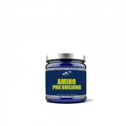 AMINO PRO BUILDING | Pro Nutrition